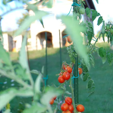 Apartment Il Paradiso Monolocale *