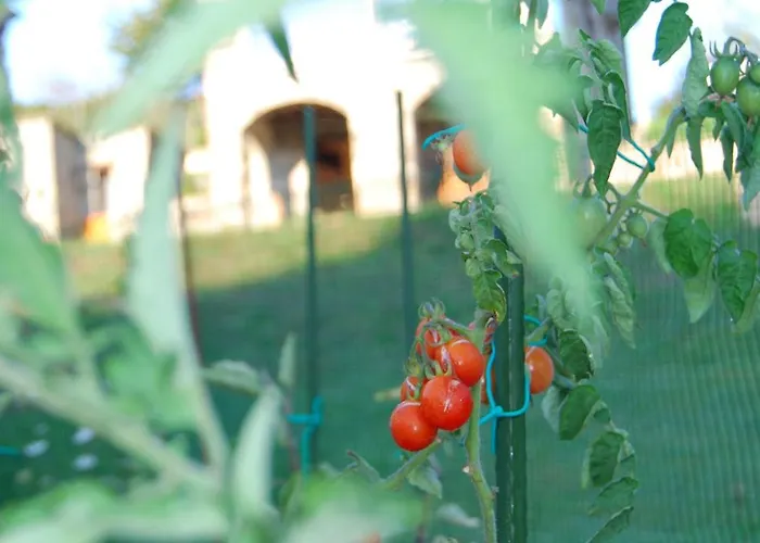 Appartement Il Paradiso Monolocale *