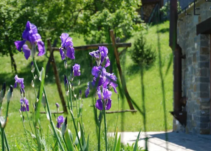 Il Paradiso Monolocale * Albareto (Parma)