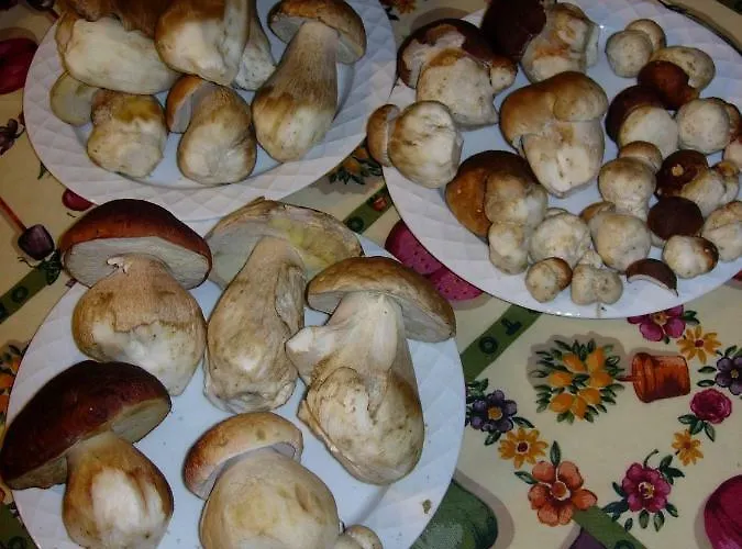 Il Paradiso Monolocale * Albareto (Parma)