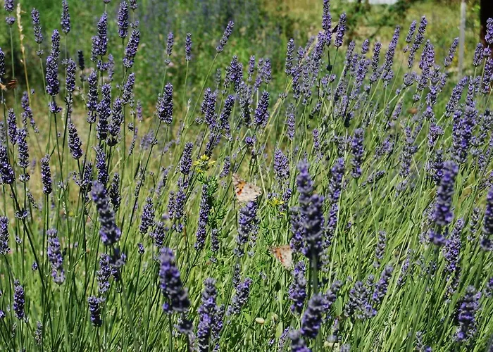 Il Paradiso Monolocale Apartment Albareto (Parma)